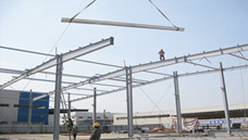 Z��䓑�(y��ng)�ð���_�����L(zh��ng)ɳ�V���Ɓ���䓽Y(ji��)��(g��u)�S��